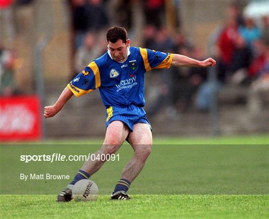 Wicklow v Wexford - Bank of Ireland Leinster Senior Football Championship Group Stage