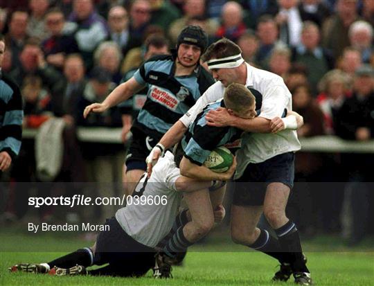 Cork Constitution RFC v Shannon RFC - AIB All-Ireland League Division 1 Semi-Final