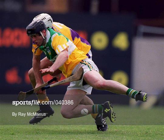 Offaly v Wexford - Guinness Leinster Senior Hurling Championship Semi-Final