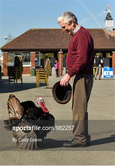 Fairyhouse Easter Festival - Monday 6th April