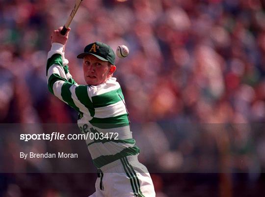 Limerick v Waterford - Munster Senior Hurling Championship Quarter-Final