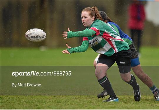 Balbriggan v Gorey - Bank of Ireland Paul Cusack Cup Final