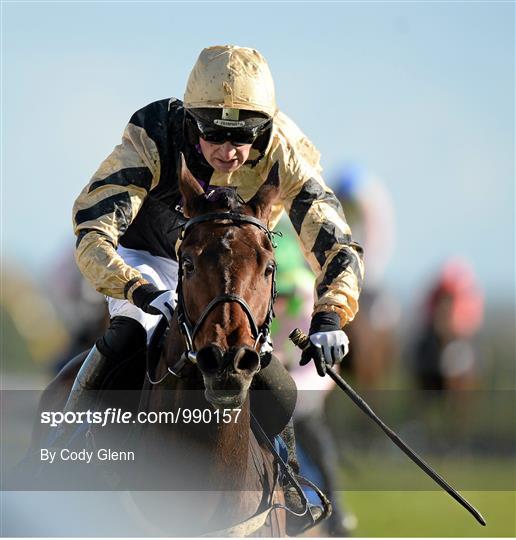 Punchestown Festival - Wednesday 29th April