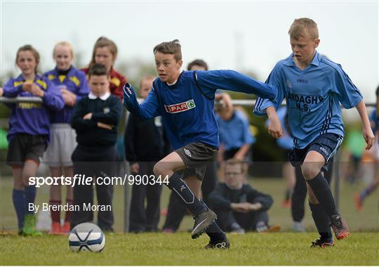 SPAR FAI Primary School 5s Leinster Final