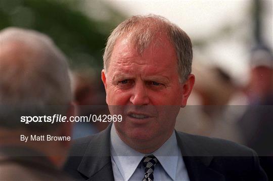 Horse Racing from the Curragh