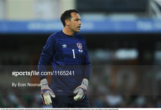 Republic of Ireland v Belarus - EURO2016 Warm-up International