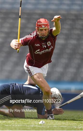 Dublin v Galway - Leinster GAA Hurling Senior Championship Quarter-Final