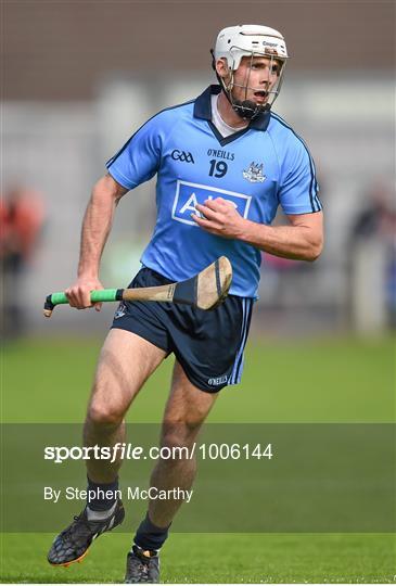 Dublin v Galway - Leinster GAA Hurling Senior Championship Quarter-Final Replay