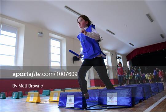 Forest Feast Little Athletics Jamboree - Kilkenny