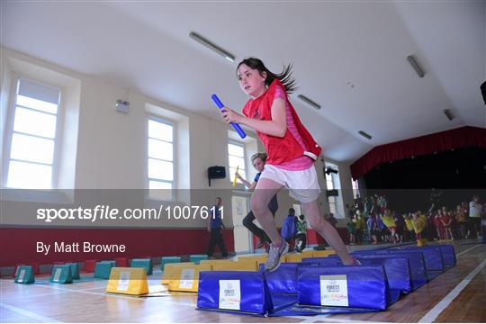 Forest Feast Little Athletics Jamboree - Kilkenny