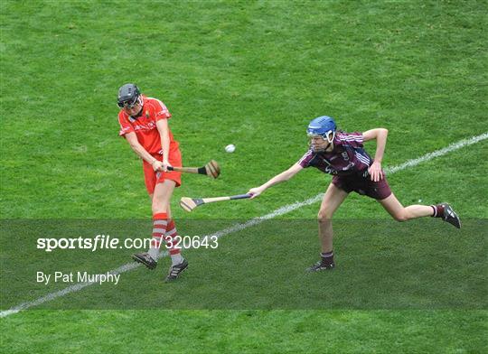 Cork v Galway - Gala All-Ireland Senior Camogie Championship Final