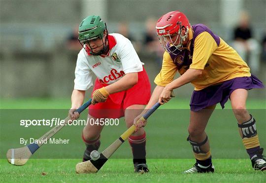 Cork v Wexford - All-Ireland Senior Camogie Championship Semi-Final