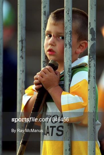 Offaly Senior Hurling Squad Training and Press Conference