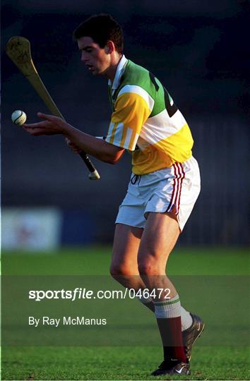 Offaly Senior Hurling Squad Training and Press Conference