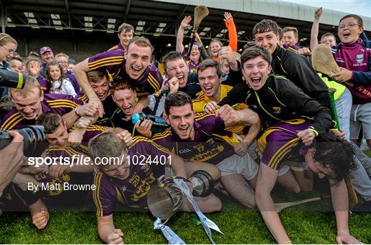 Wexford v Kilkenny - Bord Gáis Energy Leinster GAA Hurling U21 Championship Final