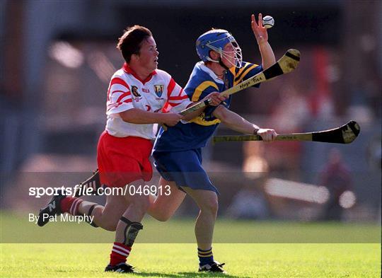 Tipperary v Cork - All-Ireland Senior Camogie Championship Final