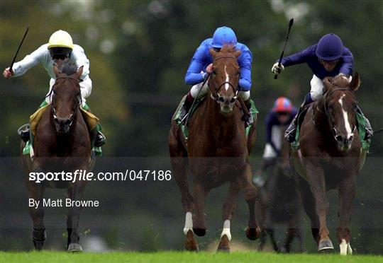 Racing from Leopardstown