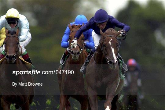 Racing from Leopardstown