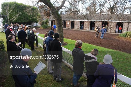 Leopardstown Christmas Racing Festival 2008 - Monday