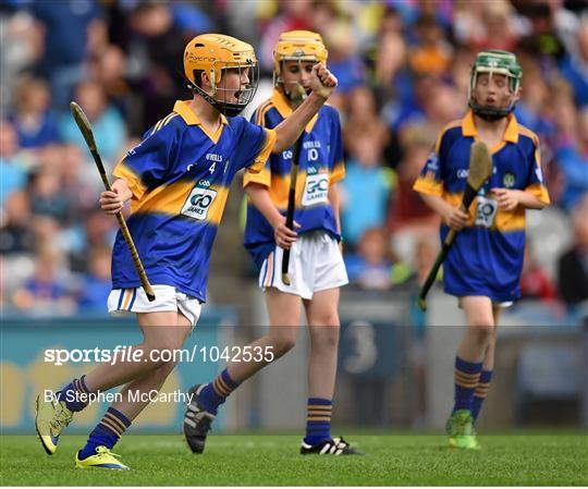 Cumann na mBunscol INTO Respect Exhibition Go Games 2015 at Tipperary v Galway - GAA Hurling All-Ireland Senior Championship Semi-Final