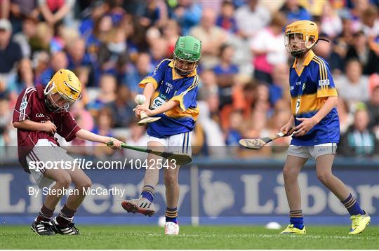 Cumann na mBunscol INTO Respect Exhibition Go Games 2015 at Tipperary v Galway - GAA Hurling All-Ireland Senior Championship Semi-Final