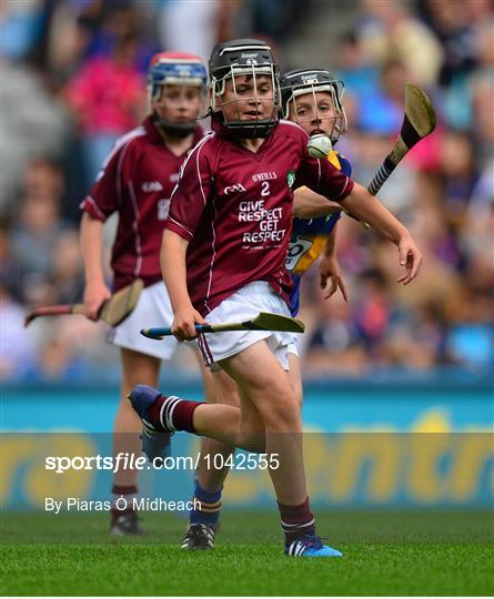 Cumann na mBunscol INTO Respect Exhibition Go Games 2015 at Tipperary v Galway - GAA Hurling All-Ireland Senior Championship Semi-Final