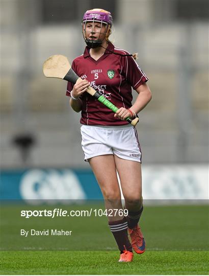 Cumann na mBunscol INTO Respect Exhibition Go Games 2015 at Tipperary v Galway - GAA Hurling All-Ireland Senior Championship Semi-Final