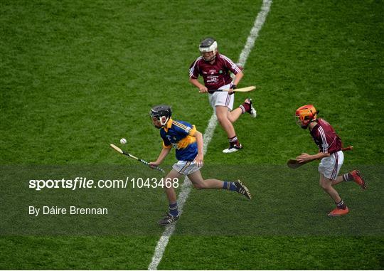 Cumann na mBunscol INTO Respect Exhibition Go Games 2015 at Tipperary v Galway - GAA Hurling All-Ireland Senior Championship Semi-Final