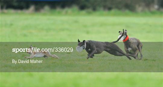 84th National Coursing Meeting