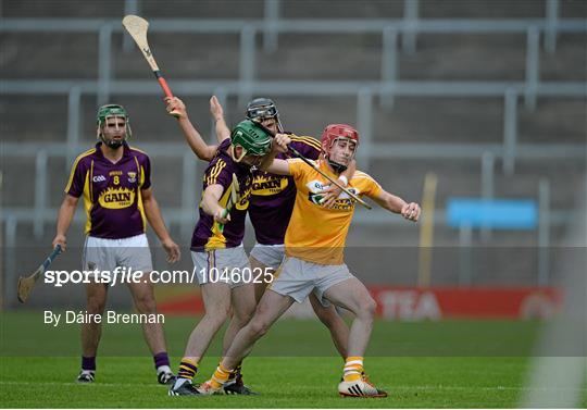 Wexford v Antrim - Bord Gáis Energy GAA Hurling All Ireland U21 Championship Semi-Final