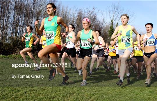 AAI Intermediate and Masters Cross Country Championship