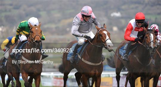 Cheltenham Racing Festival 2009 - Tuesday