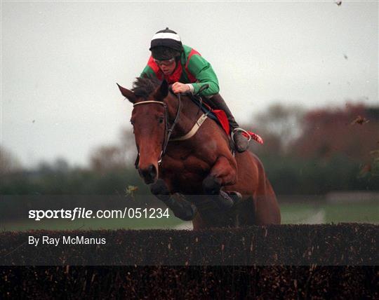 Horse Racing From Punchestown