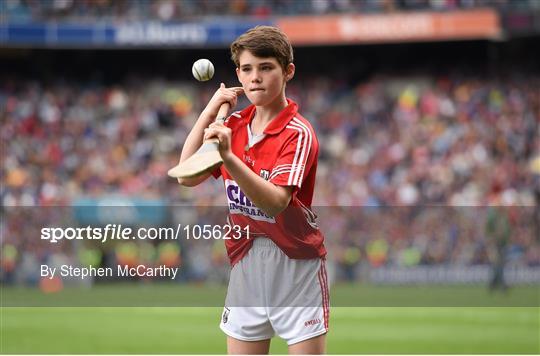 Kilkenny v Galway - GAA Hurling All-Ireland Senior Championship Final