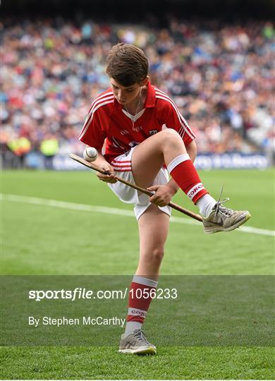 Kilkenny v Galway - GAA Hurling All-Ireland Senior Championship Final