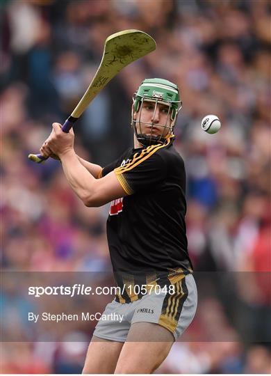 Kilkenny v Galway - GAA Hurling All-Ireland Senior Championship Final