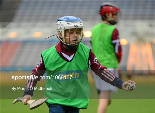 Centra "Dream Day Out" in Croke Park