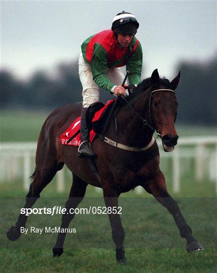 Horse Racing From Punchestown