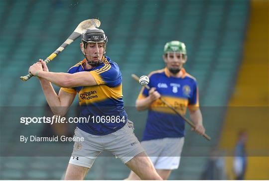 Patrickswell v Na Piarsaigh - Limerick County Senior Hurling Championship Final