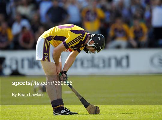 Dublin v Wexford - GAA Hurling Leinster Senior Championship Semi-Final