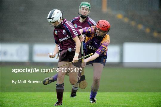 Wexford v Galway - Gala Senior Camogie Championship - Group 2 - Round 2