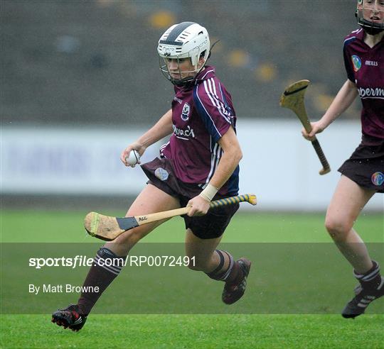 Wexford v Galway - Gala Senior Camogie Championship - Group 2 - Round 2