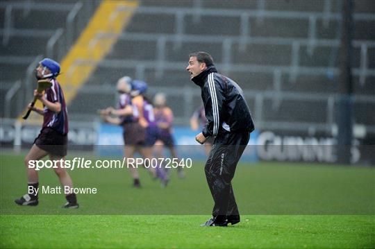 Wexford v Galway - Gala Senior Camogie Championship - Group 2 - Round 2