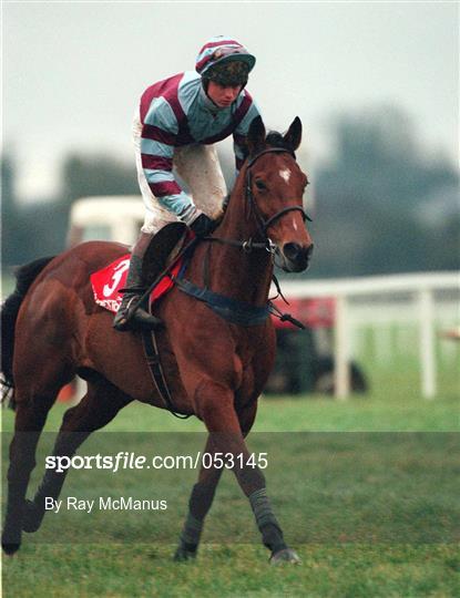 Horse Racing From Punchestown