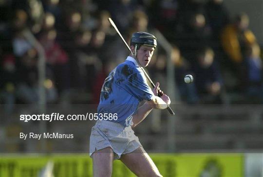 Graigue-Ballycallan v University College Dublin - AIB Leinster Senior Club Hurling Championship Final