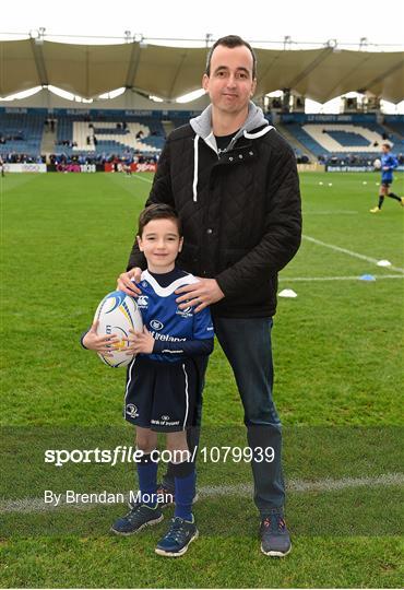 Mascots at Leinster v Wasps - European Rugby Champions Cup - Pool 5 Round 1