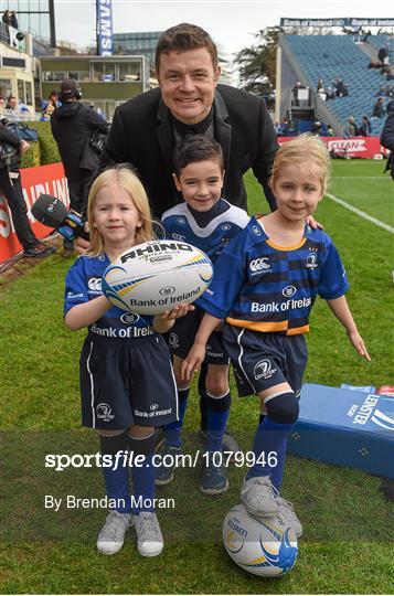 Mascots at Leinster v Wasps - European Rugby Champions Cup - Pool 5 Round 1