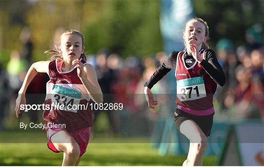 GloHealth National Cross Country Championships