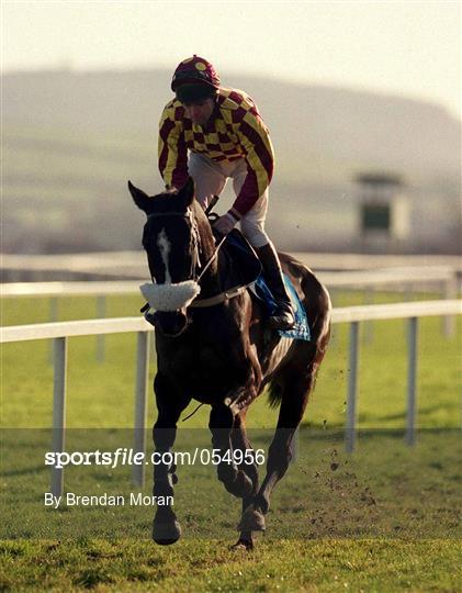 Horse Racing from Leopardstown