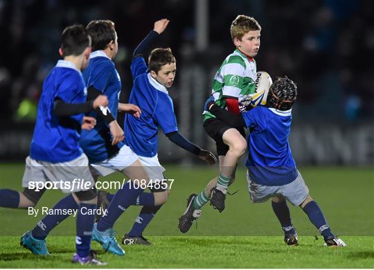 Bank of Ireland's Half-Time Mini Games at Leinster v Ulster - Guinness PRO12 Round 8